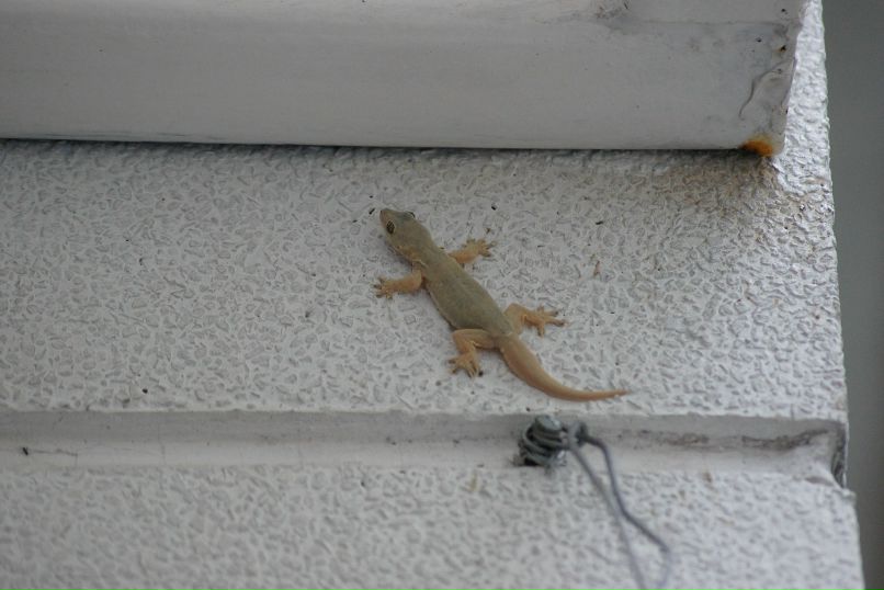 Иван Пешков фотография #14