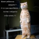 Ірина Стефанюк фотография #37 (источник - https://vk.com/id54298740)