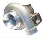 Фотография Соловьёва Никиты