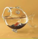 Фотография Дорофеевой Елены