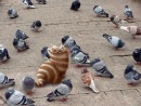 Фотография Камнева Артема