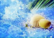 Наталія Цуркановська фотография #31 (источник - https://vk.com/id578045)