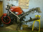 Фотография Телегина Макса