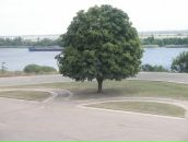 Вадім Кошман фотография #28 (источник - https://vk.com/id66574630)