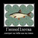 Фотография Литвиненко Максима