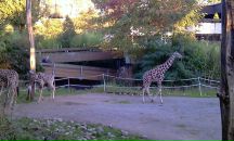 Фотография Досаева Рустама