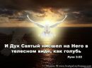 Фотография Виктор Марченко