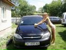Марія Палій фотография #23 (источник - https://vk.com/id81100911)