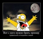 Игорь Луков фотография #21 (источник - https://vk.com/id4749943)