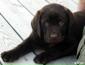 Фотография Сотниковой Светланы