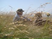 Фотография Новикова Андрея