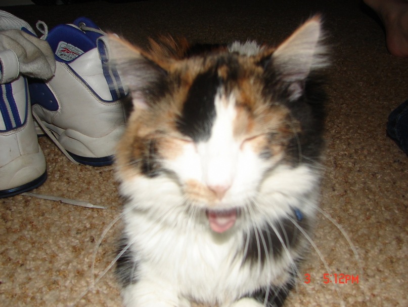 Raquel J фотография #29