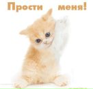 Міша Трик фотография #22 (источник - https://vk.com/id102512857)