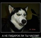 Андрій Музика фотография #13 (источник - https://vk.com/id10501323)