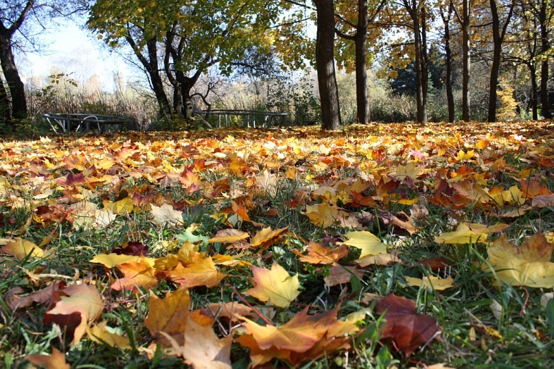 Ольга Ларина фотография #33