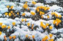 Вікуська Вікуська фотография #35 (источник - https://vk.com/id65640981)