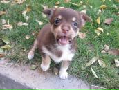 Андрій Бардецький фотография #30 (источник - https://vk.com/id15985828)