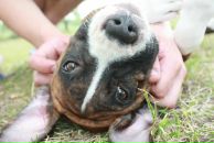 Кирилл Митяев фотография #26 (источник - https://vk.com/id6828811)