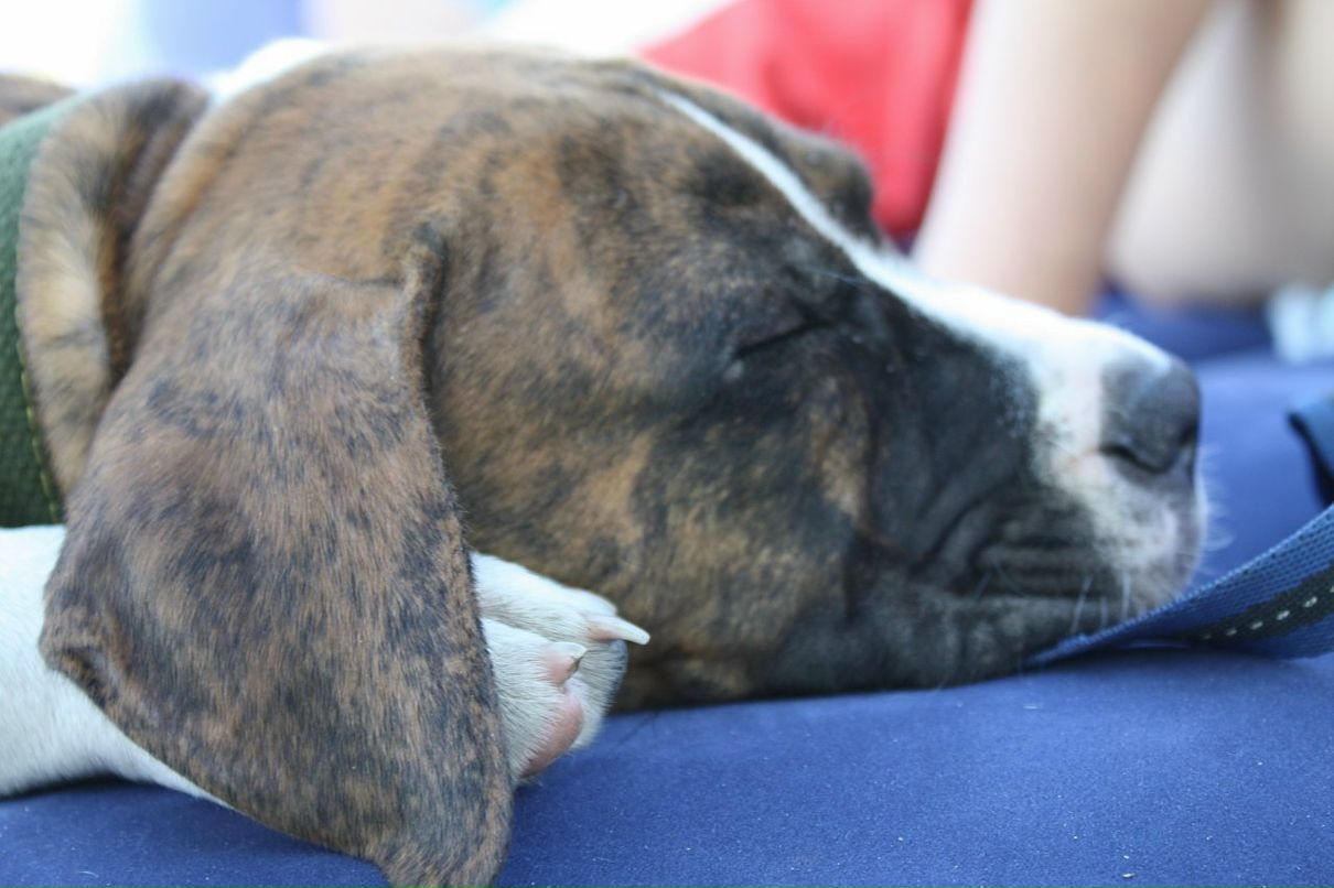 Кирилл Митяев фотография #37