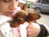 Фотография Шейфер Натальи