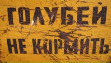 Фотография Реки Екатерины