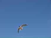 Фотография Масанкиной Марины