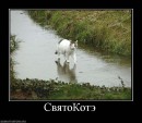 N[i]ki Baby фотография #14 (источник - https://vk.com/id66662499)