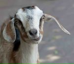 Фотография Зеленской Татьяны