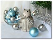 Фотография Шакировой-Нигматуллиной Резеды