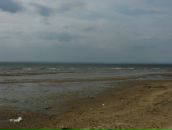 Владимир Дементьев фотография #44 (источник - https://vk.com/id227567)