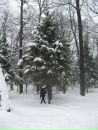 Фотография Коротеевой Алёны