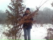 Ліда Малишівська фотография #38 (источник - https://vk.com/id66803026)