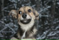 Фотография Портновой Кристины