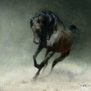 Олічка Нехаева фотография #34 (источник - https://vk.com/id84429717)