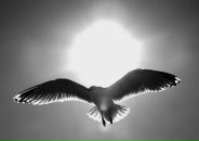 Віталік Соловейко фотография #28 (источник - https://vk.com/id54753887)