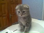 Фотография Ботова Алексея