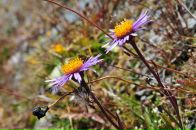 Nick N фотография #34 (источник - https://vk.com/id16209708)