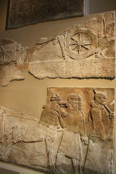 Дмитрий Гудков фото №46