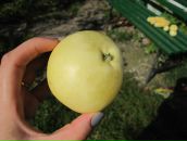 Фотография Крайневой Олеси