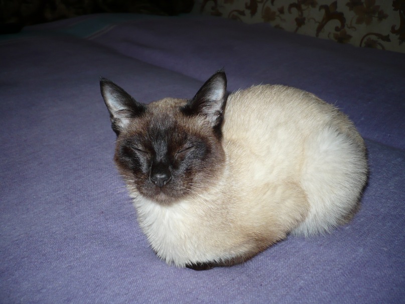 Sergey Halileev фотография #9