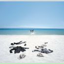 Фотография Четверикова Павла