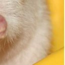 Іра Сакундяк фотография #47 (источник - https://vk.com/id35307343)