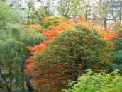 Андрій Дрозд фотография #7 (источник - https://vk.com/id9354585)