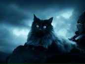 Ігор Лущ фотография #48 (источник - https://vk.com/id131533167)