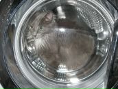 Фотография Воложаниной Ольги