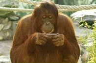 Вадік Ковальський фотография #11 (источник - https://vk.com/id89878773)