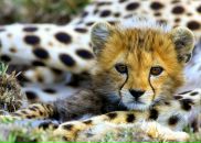 Фотография Биктагирова Ильвина