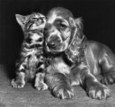 Андрій Сливка фотография #21 (источник - https://vk.com/id156243808)