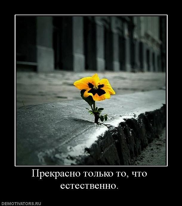 Olga Olla фотография #26