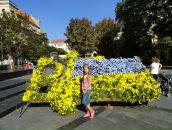 Вітуськ@:) Пустовойтова фотография #22 (источник - https://vk.com/id152056684)